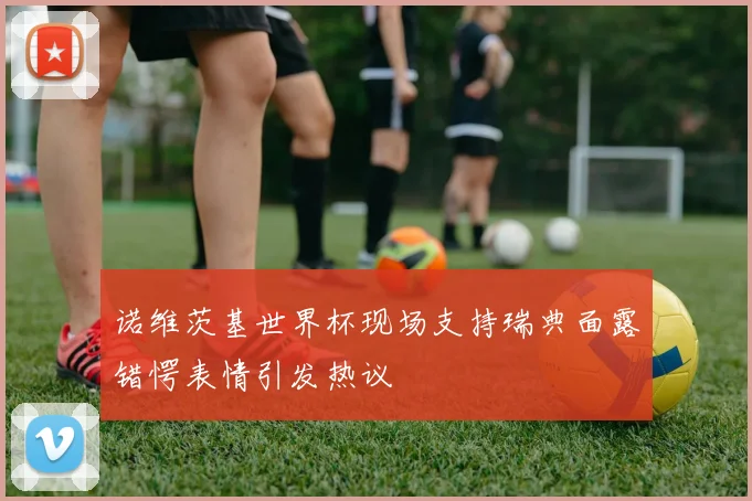 诺维茨基世界杯现场支持瑞典面露错愕表情引发热议